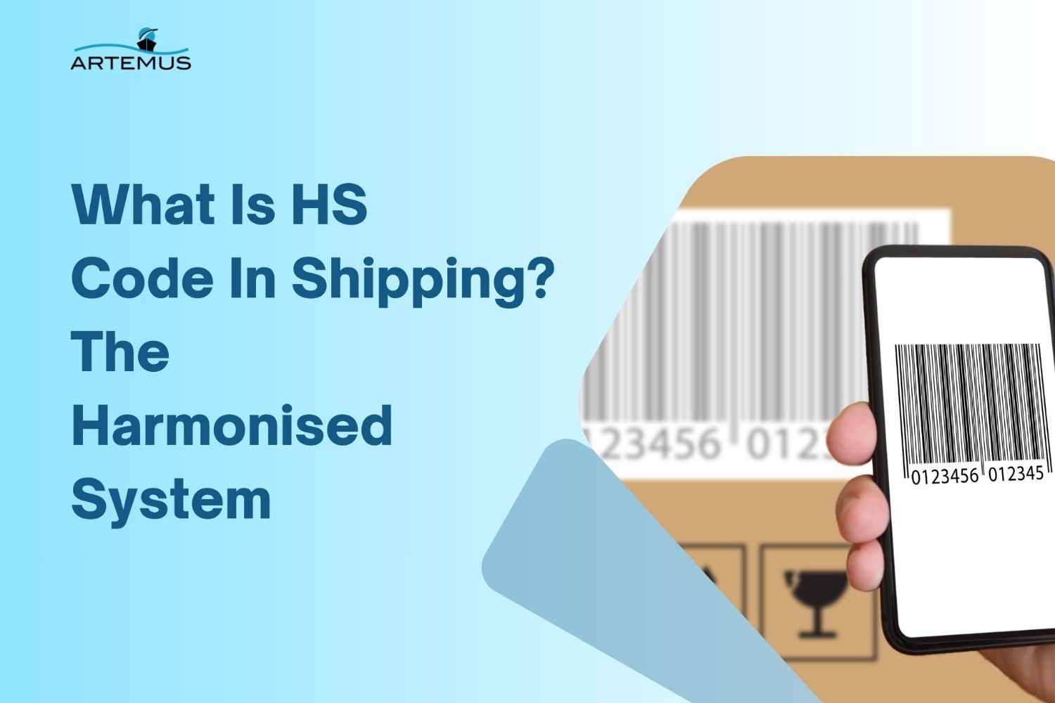 What Is HS Code