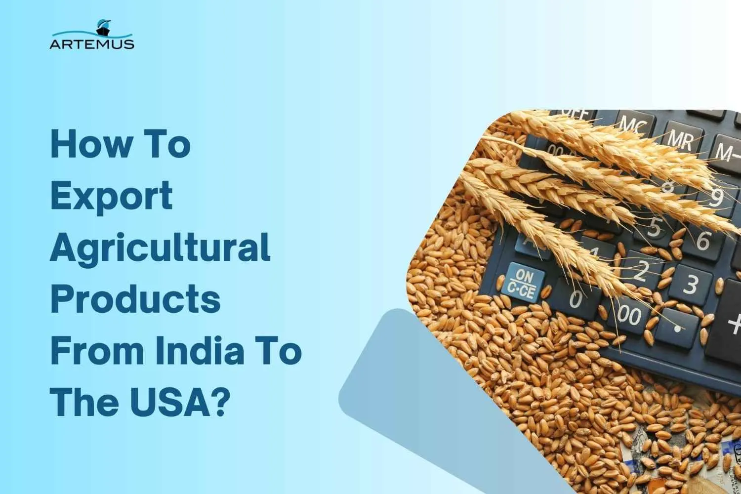 How To Export Agricultural Products From India